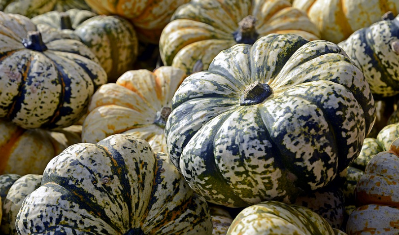 pumpkins